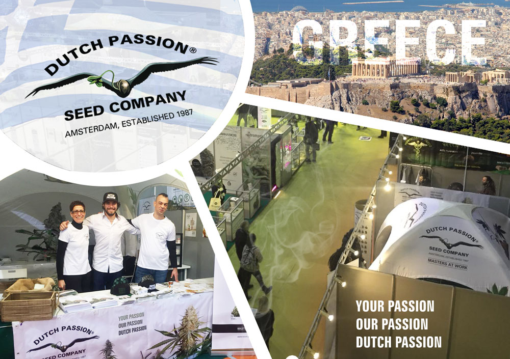 Cannabis in Greece. Athens Cannabis Expo Review