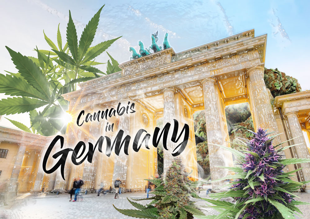 Cannabis in Deutschland