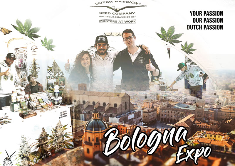 Bologna Indica Sativa Trade 2019 expo