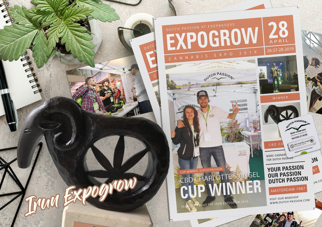 Irun Expogrow. Salon cannabique au Pays basque.