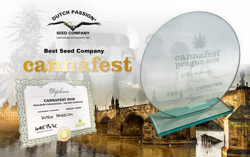 Dutch Passion awarded ‘Best Seedbank’ at Cannafest 2019, Prague