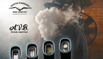 Cosa fare con l’erba già vaporizzata