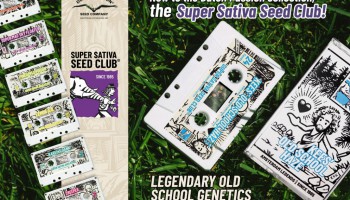 Super Sativa Seed Club x Dutch Passion: La collaborazione leggendaria continua
