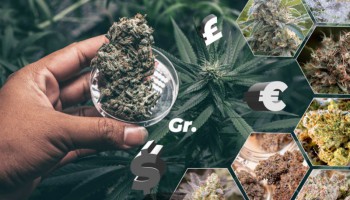 Medidas de Marihuana: rangos de pesos, precios y consejos
