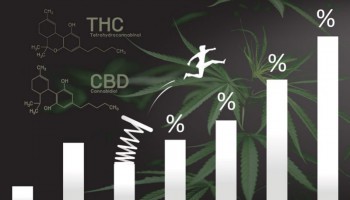 ¿Por qué más THC no siempre te provoca un mayor subidón?