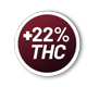 22thc.png