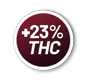 23thc.png