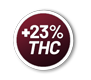23thc.png