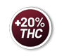 20thc.png