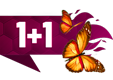 11autoflowerspring.png