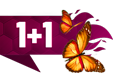 11autoflowerspring.png