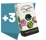 3seeds.png