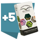 5seeds.png